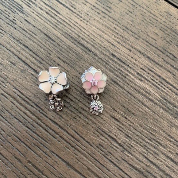 Pandora bracelet with charms - Picture 3 of 9